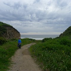 GirlsWildCat 035 : GirlsWildCat